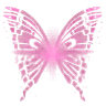 BizMorph